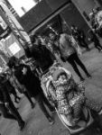 IMG-00042