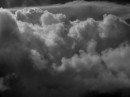 IMG_6895 * 1024 x 768 * (277KB)