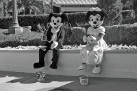  Mickey and Minny have a drink