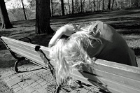  Beyond the Pale Contortion, Goat Island