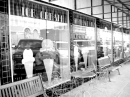 BLUEBELL_SHOP * 640 x 480 * (251KB)
