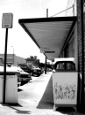 BLUEBONNET_TRASHCAN * 480 x 640 * (182KB)