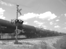 TRAIN_B_W * 640 x 480 * (170KB)