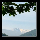 [Click to enlarge image]