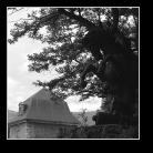 [Click to enlarge image]