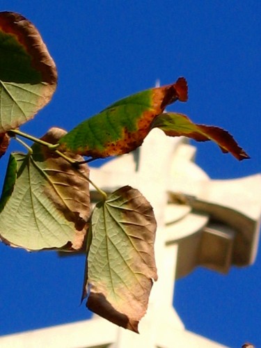 Original image