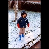 A Rare Snow in Houston