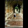 Lovett Arcade