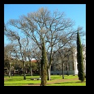 [Click to enlarge image]