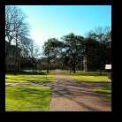 [Click to enlarge image]