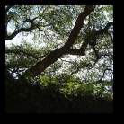 [Click to enlarge image]