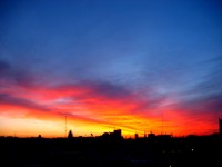 IMG_6644 