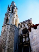 IMG_5336 
