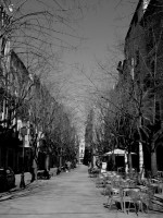 IMG_5359 