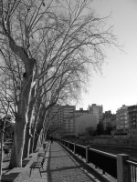 IMG_5440 