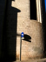 IMG_5446 
