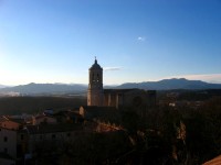 IMG_5452 