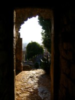 IMG_5459 
