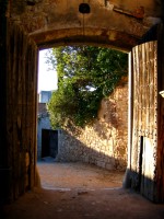 IMG_5460 