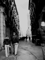 IMG_6528