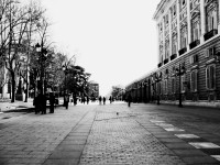 IMG_6300 