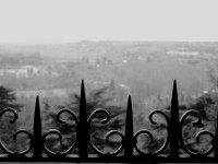 IMG_6308