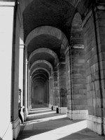 IMG_6309