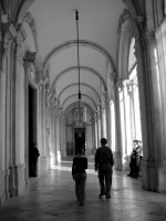 IMG_6391 