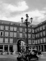 IMG_6523 