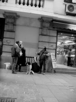 IMG_6544 