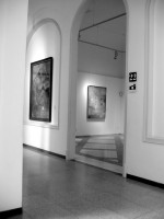 IMG_5622 