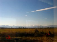 IMG_5636 