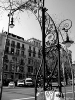 IMG_5910 