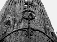 IMG_5929 