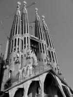 IMG_5962 