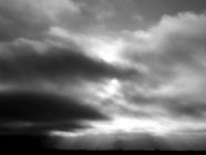 IMG_4488