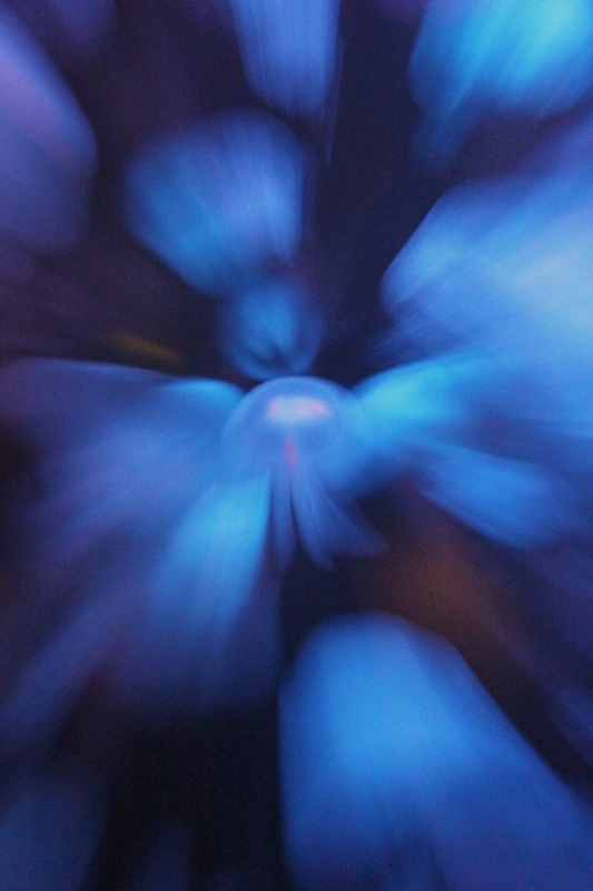 01580