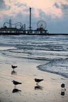 Pleasure Pier