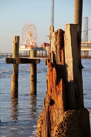  Pleasure Pier