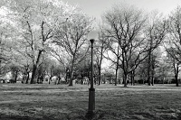  Niagara Falls State Park