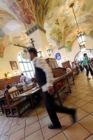  Hofbrauhaus, Munich